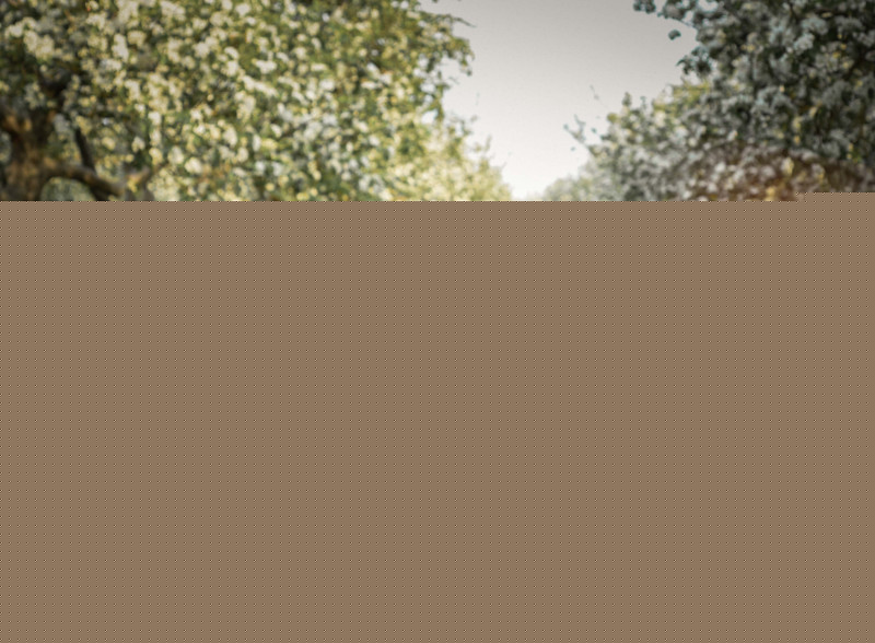 verger-fleurs-2023-15