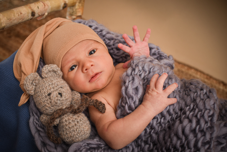 Fenyx-high_res-5-Copie