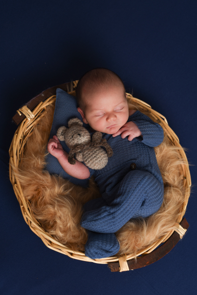 theo-4-Copie